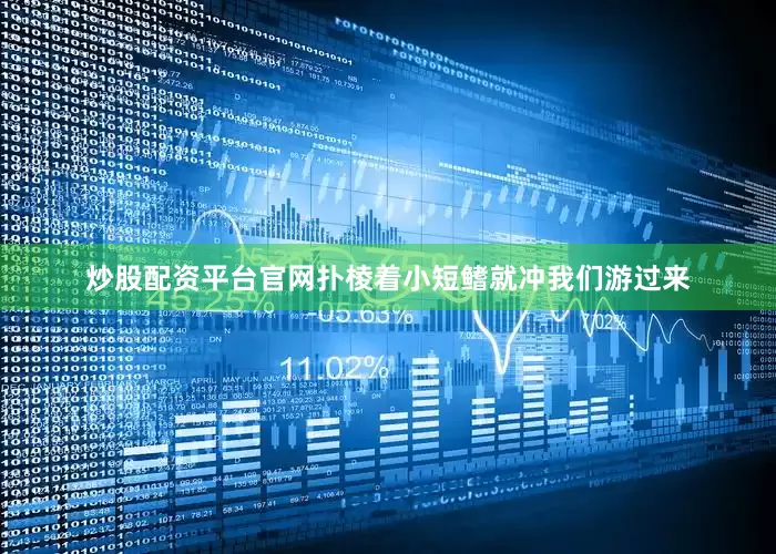炒股配资平台官网扑棱着小短鳍就冲我们游过来