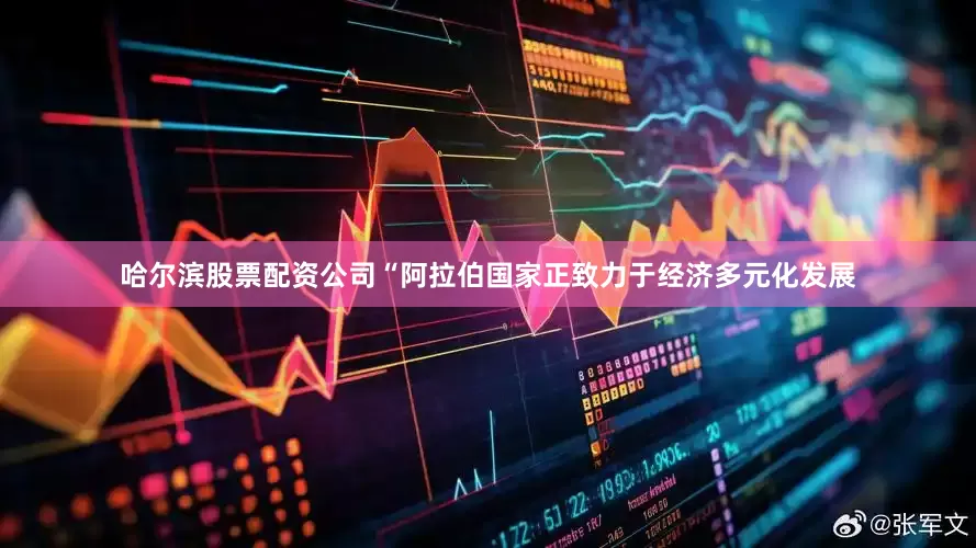哈尔滨股票配资公司“阿拉伯国家正致力于经济多元化发展