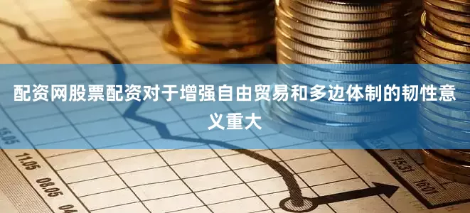 配资网股票配资对于增强自由贸易和多边体制的韧性意义重大
