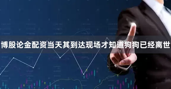博股论金配资当天其到达现场才知道狗狗已经离世