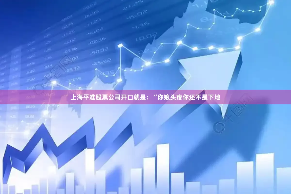 上海平准股票公司开口就是：“你娘头疼你还不是下地