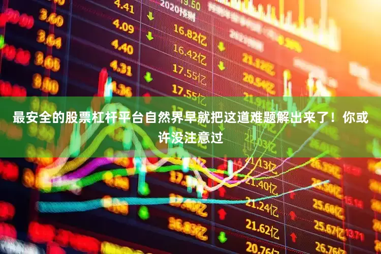 最安全的股票杠杆平台自然界早就把这道难题解出来了！你或许没注意过